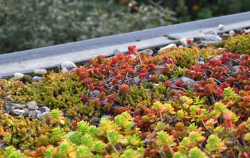 the cost of Horseway green roof installation